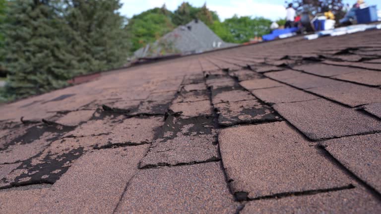 Trusted Southport, IN Roofing Experts